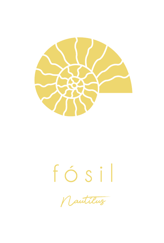 Diseño de la identidad visual para 'Fósil Nautilus', mostrando el icono dorado de un fósil nautilus y la tipografía de la marca sobre fondo blanco.