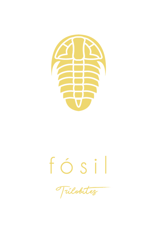 Diseño de la identidad visual para 'Fósil Trilobites', con el icono dorado de un fósil trilobite y la tipografía de la marca sobre fondo blanco.