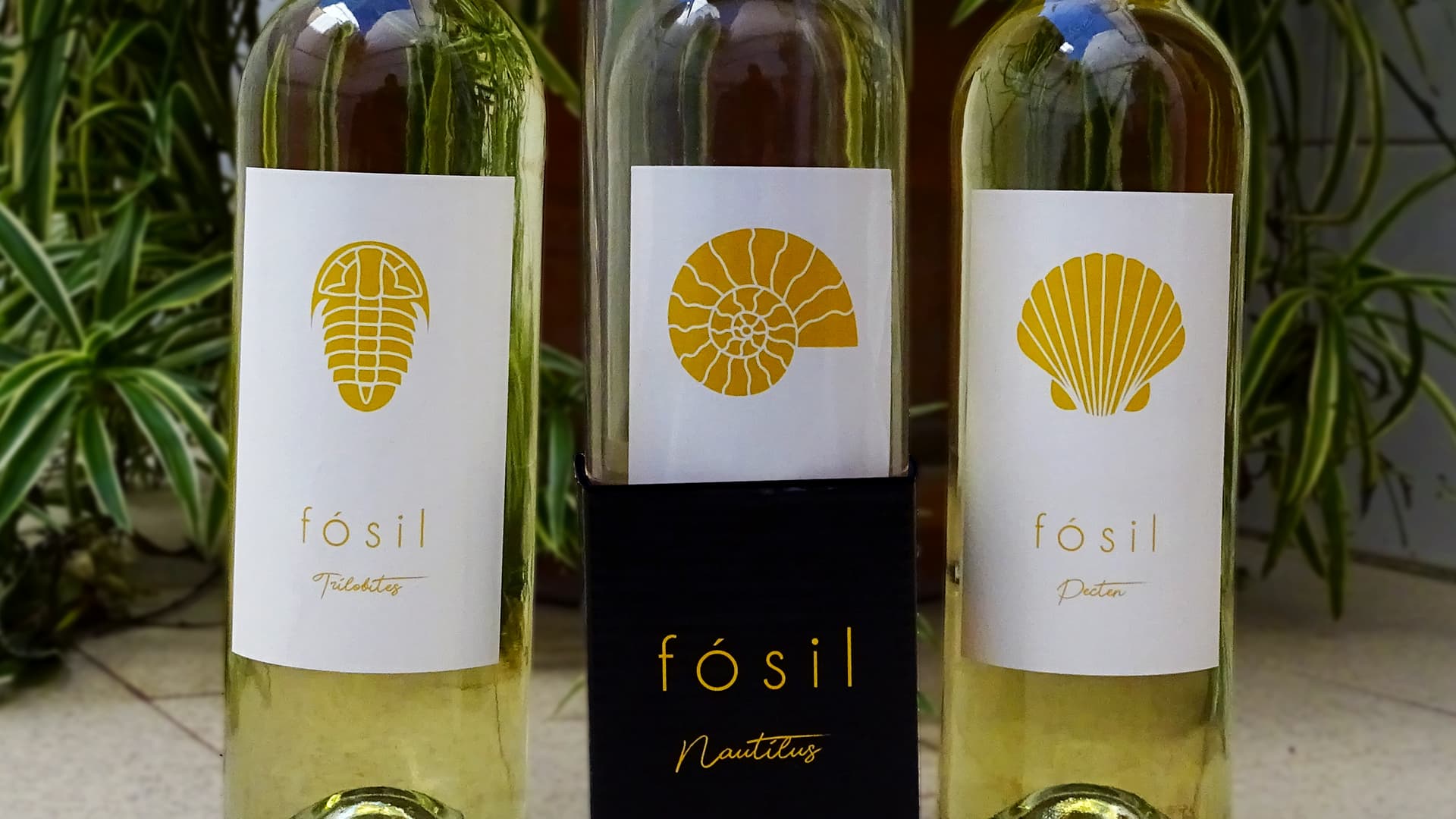 Primer plano de las etiquetas de tres botellas de vino 'Fósil', destacando los iconos dorados de un trilobites, un nautilus y una concha de pecten, con un fondo de plantas verdes.
