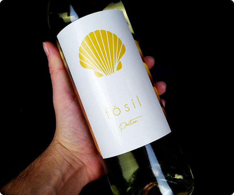 Primer plano de una mano sosteniendo una botella de vino blanco 'Fósil Pecten', resaltando la etiqueta con el diseño de una concha dorada.