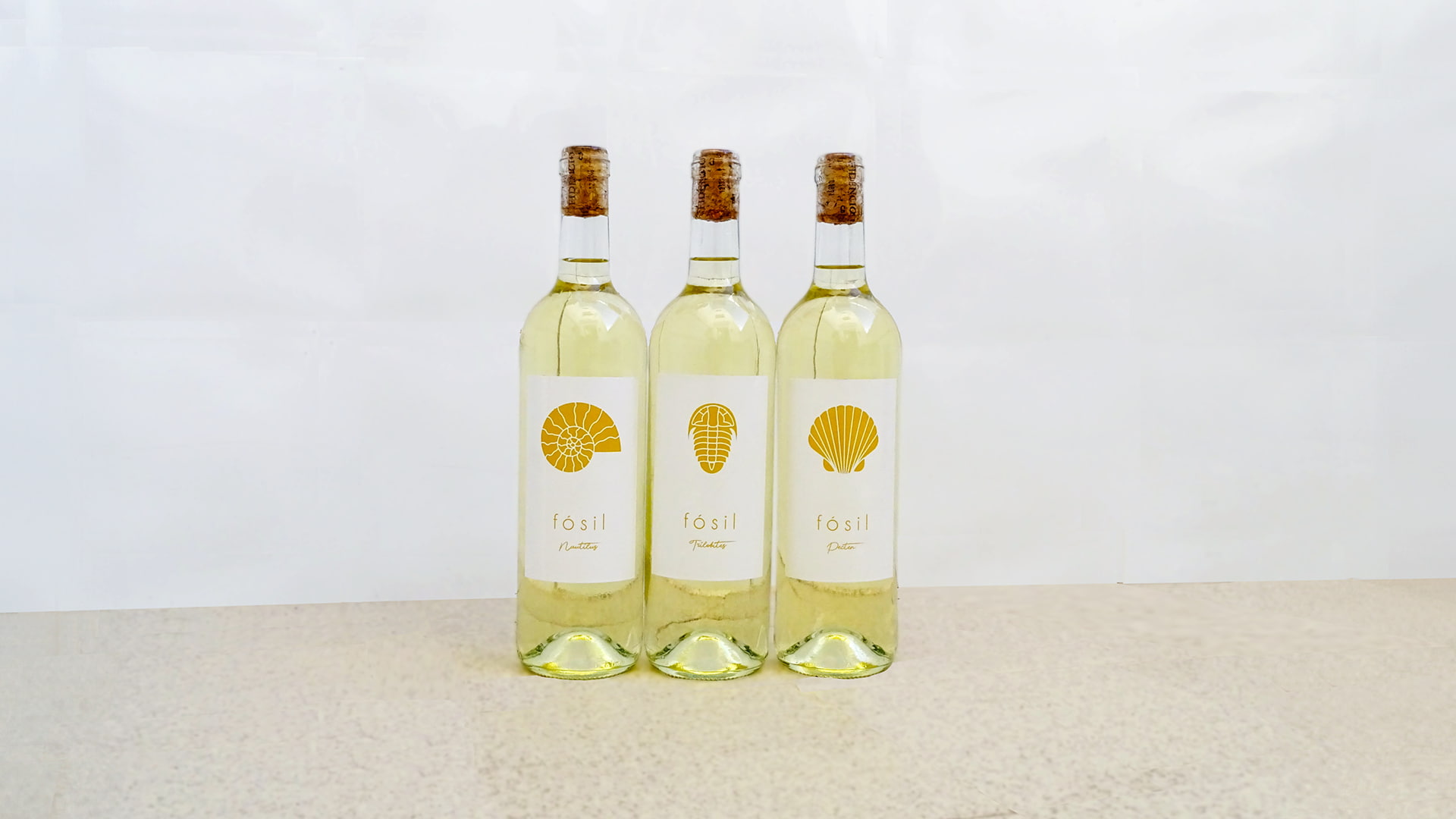 Tres botellas de vino blanco 'Fósil' alineadas sobre una superficie clara, mostrando las etiquetas con los nombres Nautilus, Trilobites y Pecten